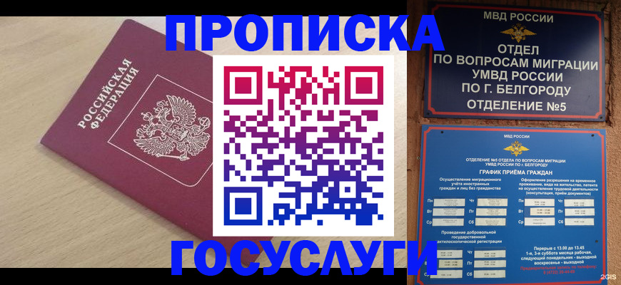 прописка законно в Грозном
